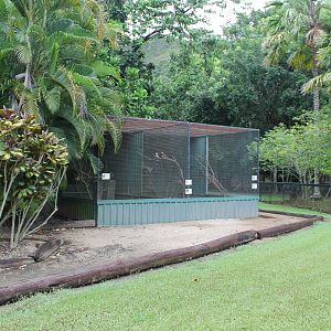 Kookaburra/Bettong/Possum exhibit