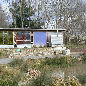 View of Working Wetland Garden - 28 March 2018
