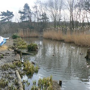 View of one of the Pens - 28 March 2018