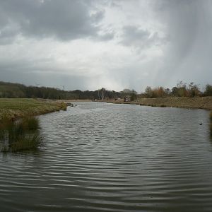 View of Reserve - 28 March 2018