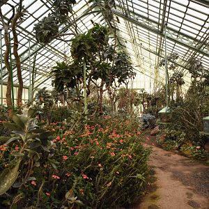 Desert house - Madagascar section