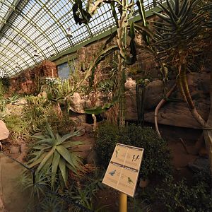 Desert house - Elephant shrew and tortoise enclosure