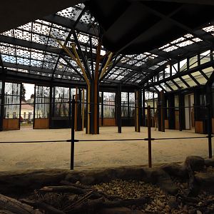 Girafe house extension