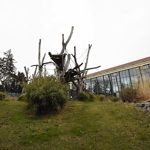 Orangerie - Outdoors