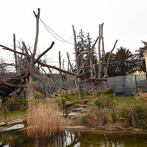 Orangerie - Outdoors