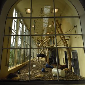 Orangerie - indoor main viewing window