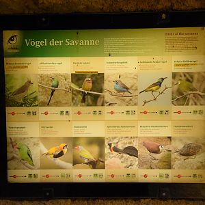 Bird house - Species African section