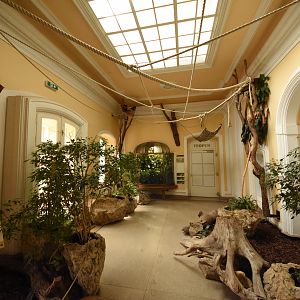 Bird house - Middle section