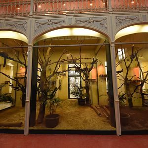 Primate house - Ruffed lemur indoors