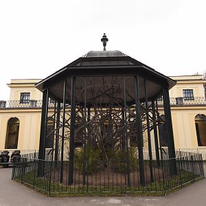 Primate house - Ruffed lemur outdoors