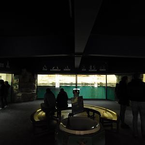 Penguin house - Overview