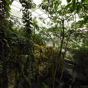 Rainforest house - overview