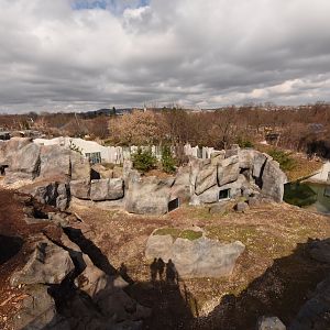 Polar bear enclosure overview