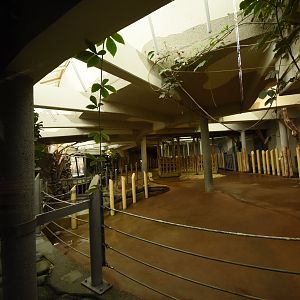 Rhino enclosure - indoors