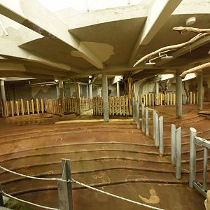 Rhino enclosure - indoors