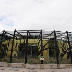 Primate house - Colobus outdoors