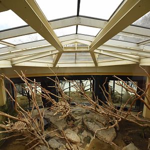 Primate house - Colobus indoors