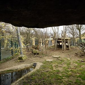 Lion enclosure