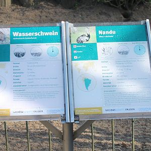 Capybara - Rhea signs