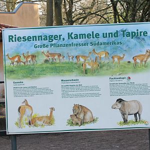 General South American enclosure info