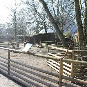 Llama-enclosure