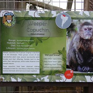 Weeper Capuchin Signage