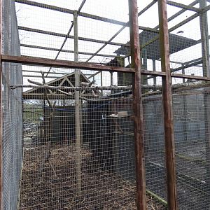 Barn Owl Aviary