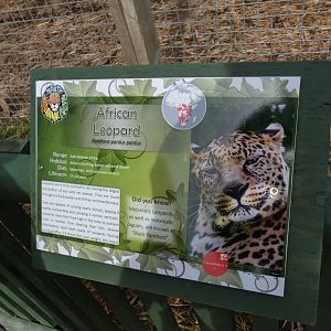 Leopard Signage