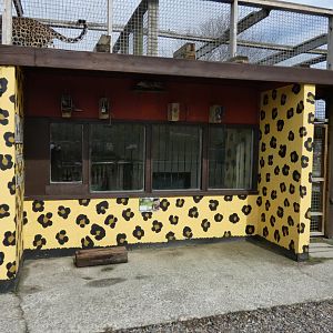 View of Leopard House