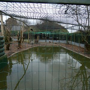 View of Sandhill Crane, Northern Bald Ibis, Fulvous Whistiling Duck and Laysan Teal Aviary