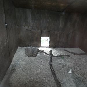 Indoor Racoon Dog Enclosure