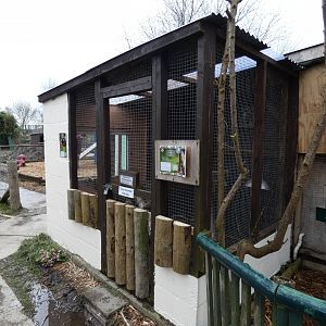 Banded Mongoose Enclosure (Former Marmoset Enclosure)