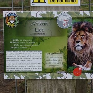 Lion Signage