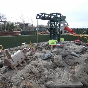 Meerkat Enclosure