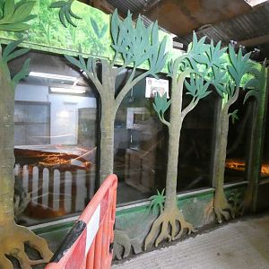 Asian Short-Clawed Otter Viewing Area