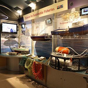 sustainable fishing display