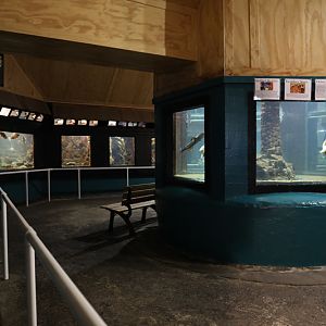 aquarium interior