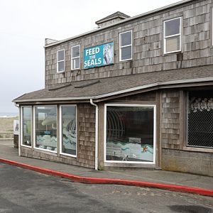 aquarium building on the beach