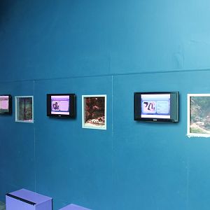 Damselfish, Mantis Shrimp and Jellyfish tanks