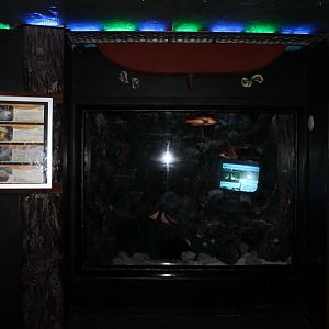 Aquarium