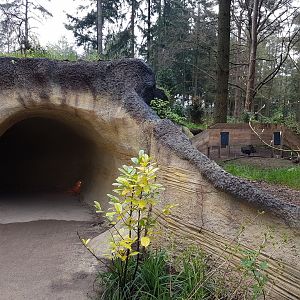 Entrance Badgar-indoor-enclosure