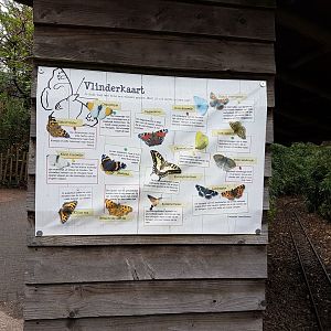 Info-sign Wild ( dutch ) butterflies