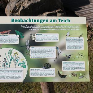 Info-sign Natur-pool