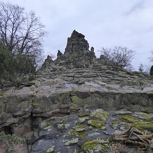 Distance view of Ibex enclosure 290118