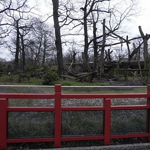 Giant panda enclosure 290118