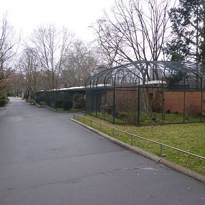 Aviaries 290118