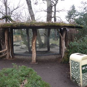 Wolf enclosure viewing window 290118