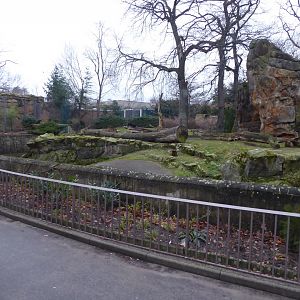 Bear enclosure 290118