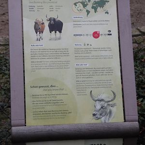 Signage for Javan banteng 290118