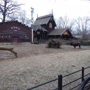 North American bison enclosure 290118